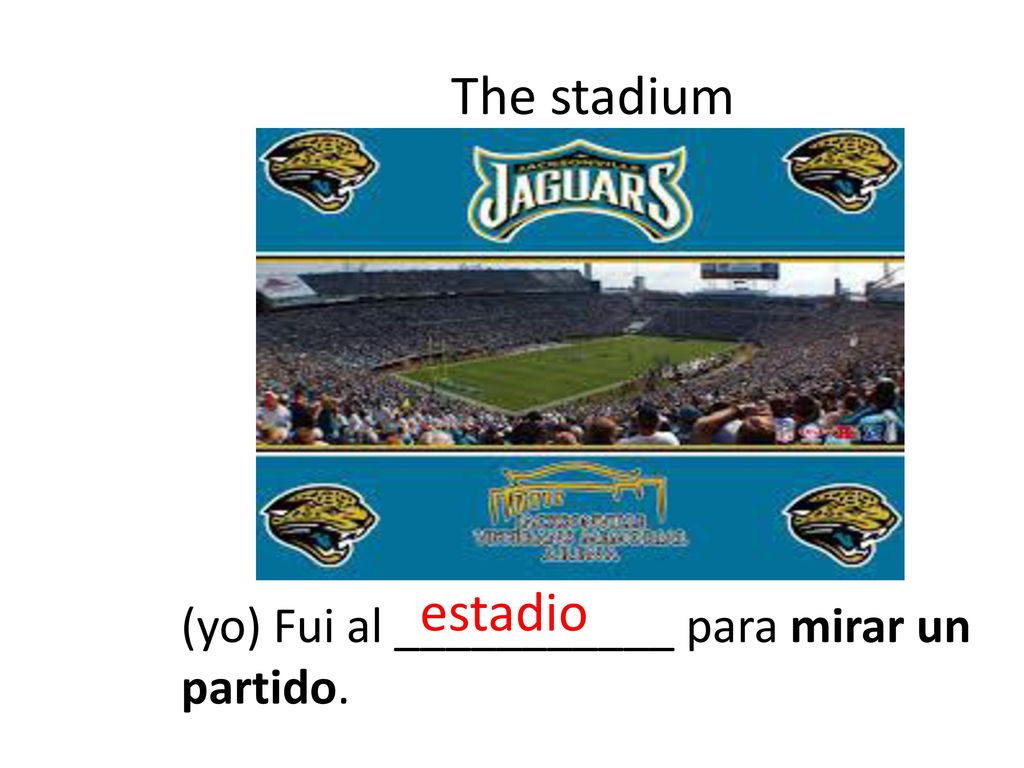 The stadium estadio (yo) Fui al ___________ para mirar un partido.