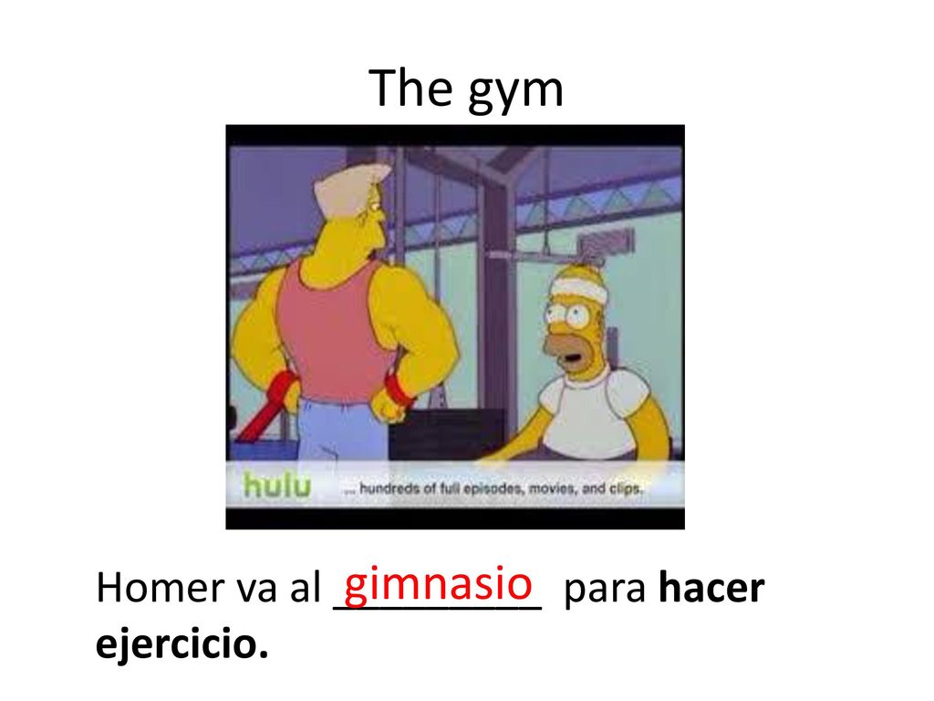 The gym gimnasio Homer va al _________ para hacer ejercicio.
