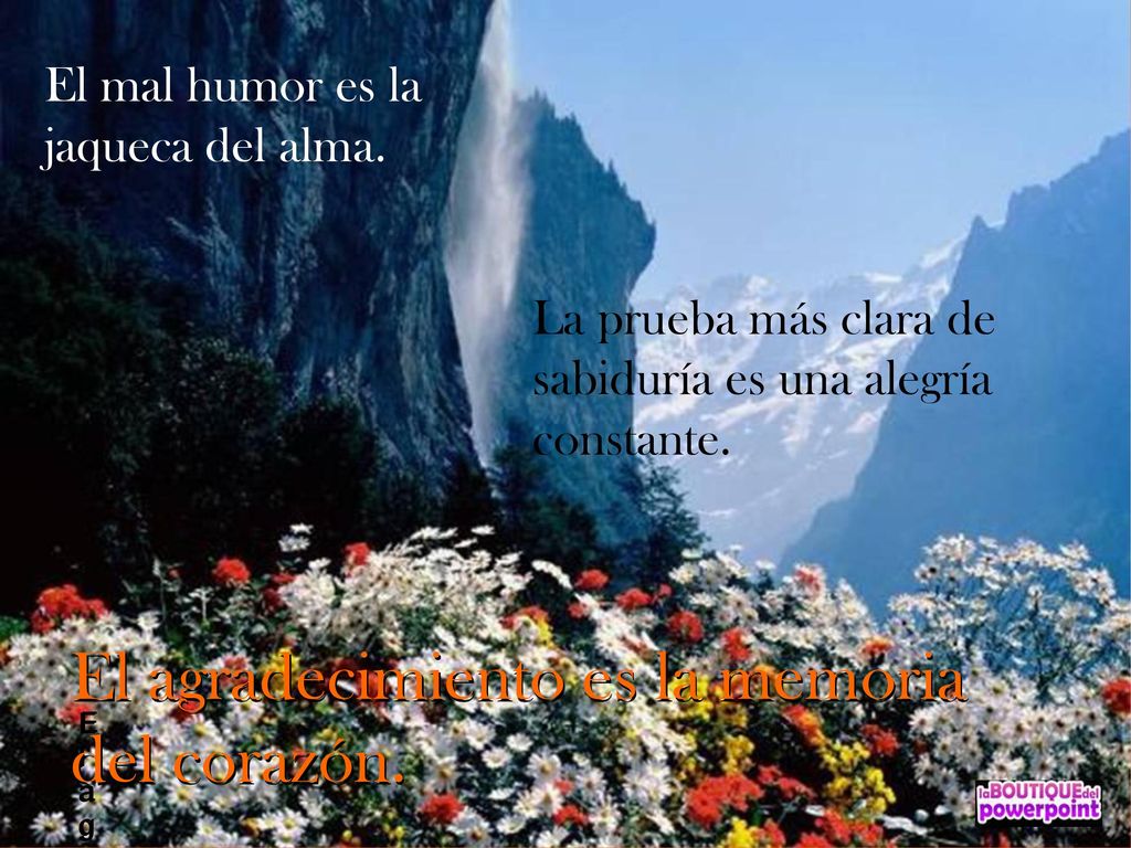 El agradecimiento es la memoria del corazón.