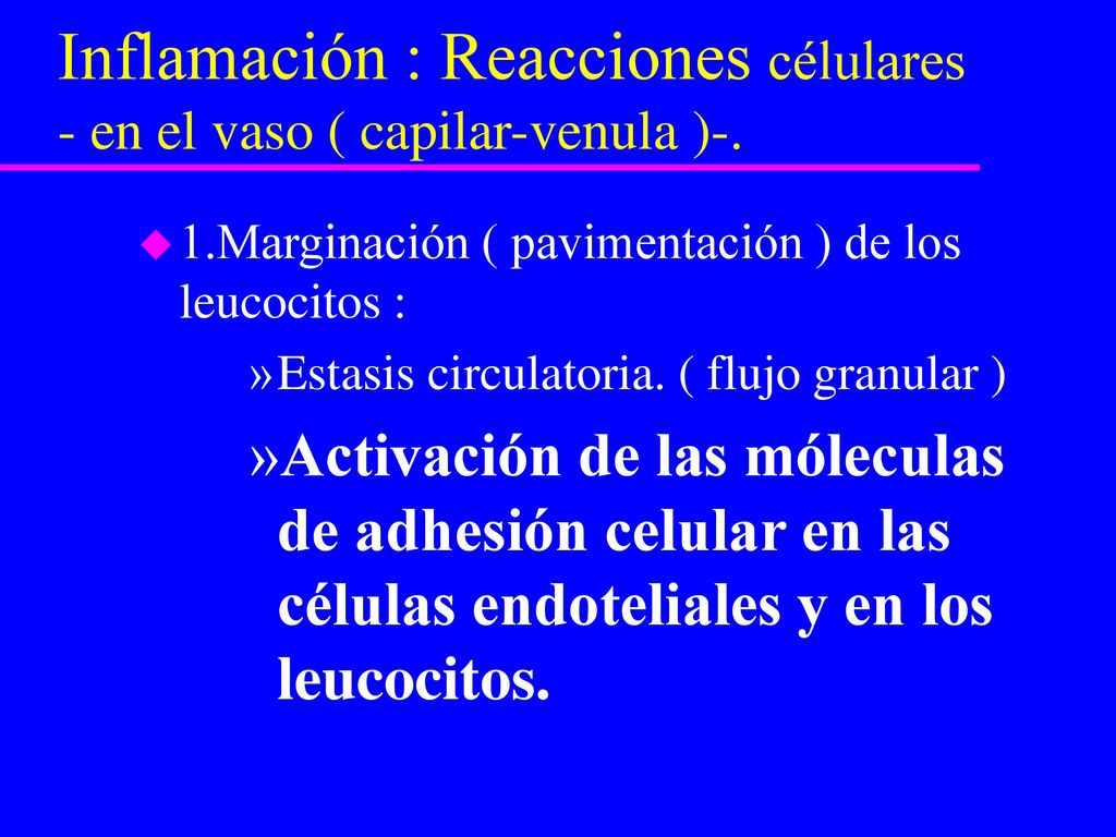 Inflamación : Reacciones célulares - en el vaso ( capilar-venula )-.
