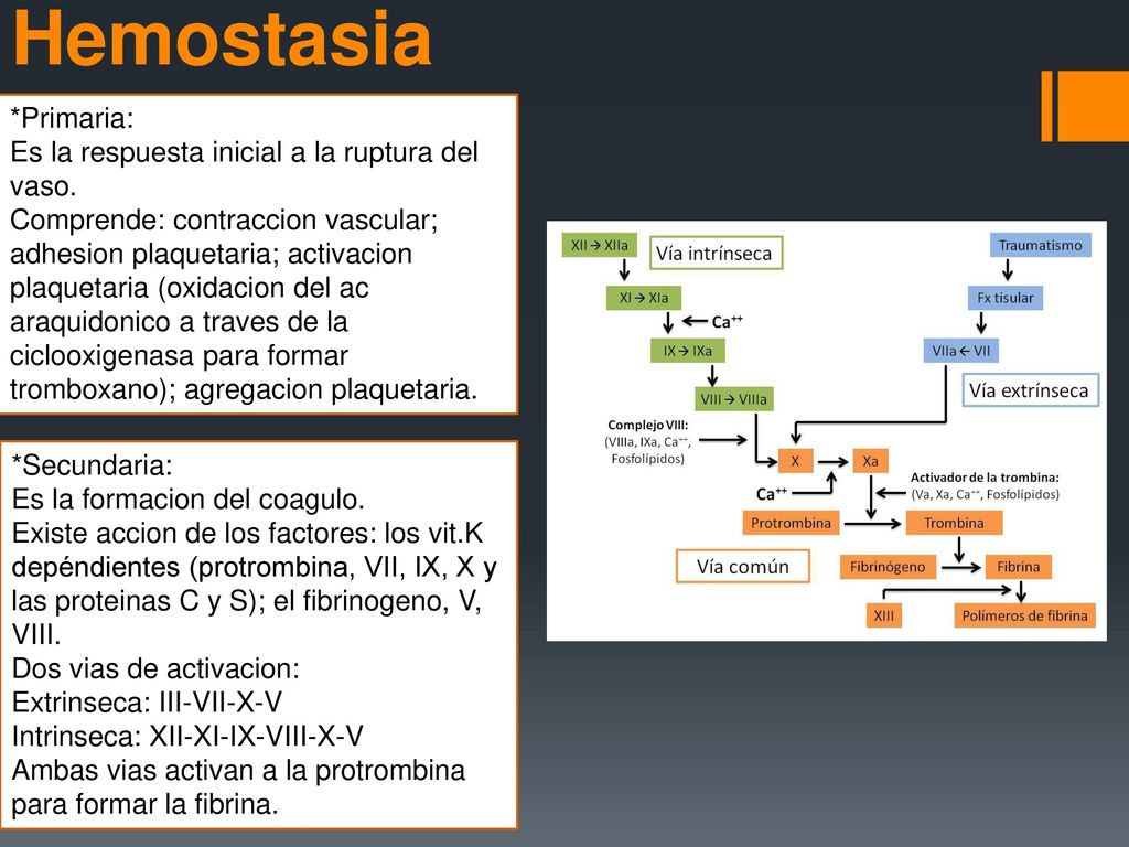 Hemostasia *Primaria: Es la respuesta inicial a la ruptura del vaso.