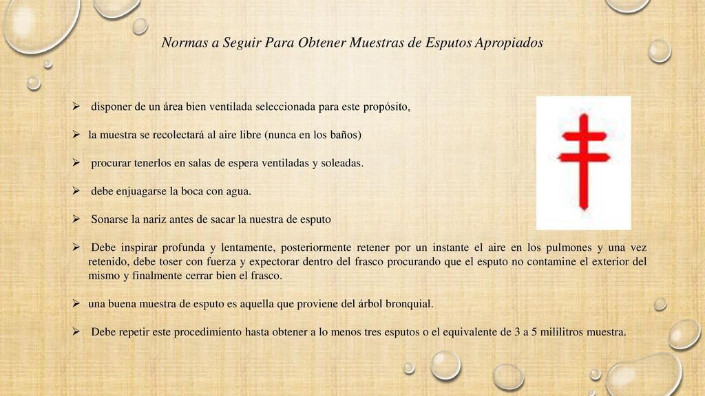 Normas a Seguir Para Obtener Muestras de Esputos Apropiados