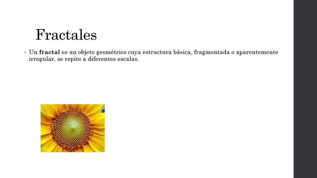 Fractales Un fractal es un objeto geométrico cuya estructura básica, fragmentada o aparentemente irregular, se repite a diferentes escalas.