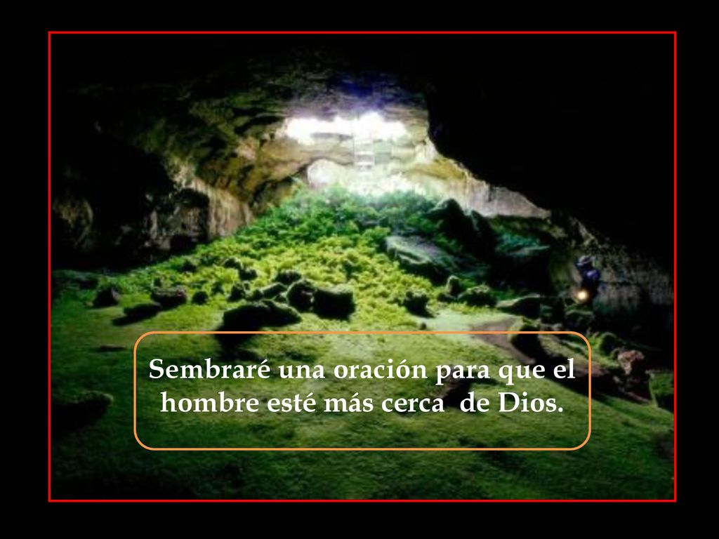 Sembraré una oración para que el hombre esté más cerca de Dios.