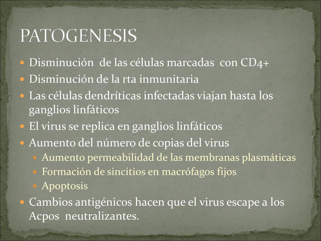PATOGENESIS Disminución de las células marcadas con CD4+