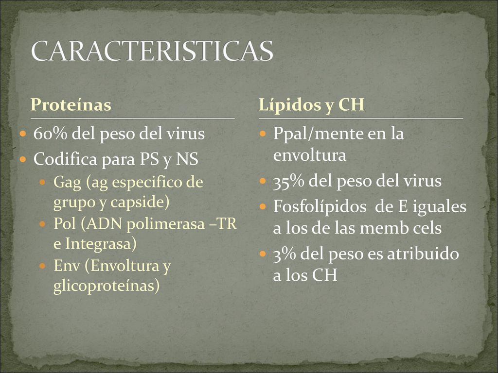 CARACTERISTICAS Proteínas Lípidos y CH 60% del peso del virus