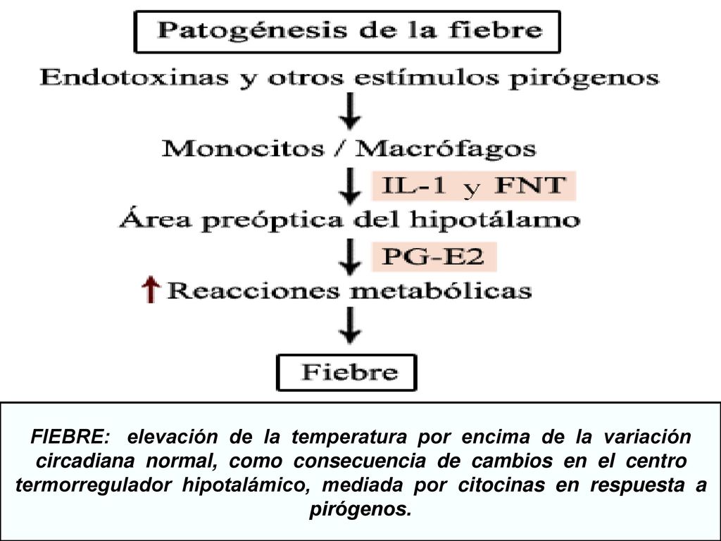 FIEBRE: elevación de la temperatura por encima de la variación circadiana normal, como consecuencia de cambios en el centro termorregulador hipotalámico, mediada por citocinas en respuesta a pirógenos.