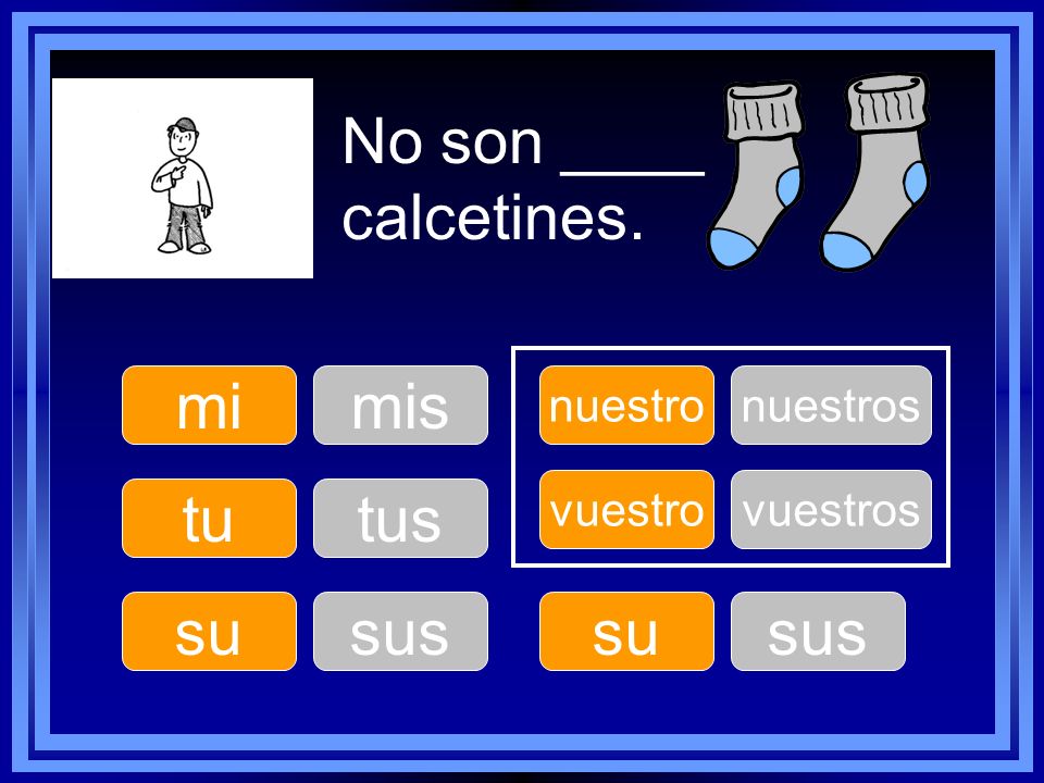 No son ____ calcetines. mi mis tu tus su sus su sus nuestro nuestros