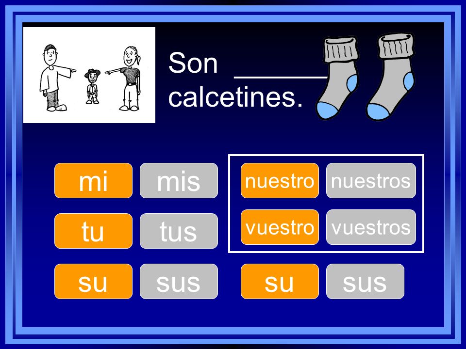 Son ______ calcetines. mi mis tu tus su sus su sus nuestro nuestros