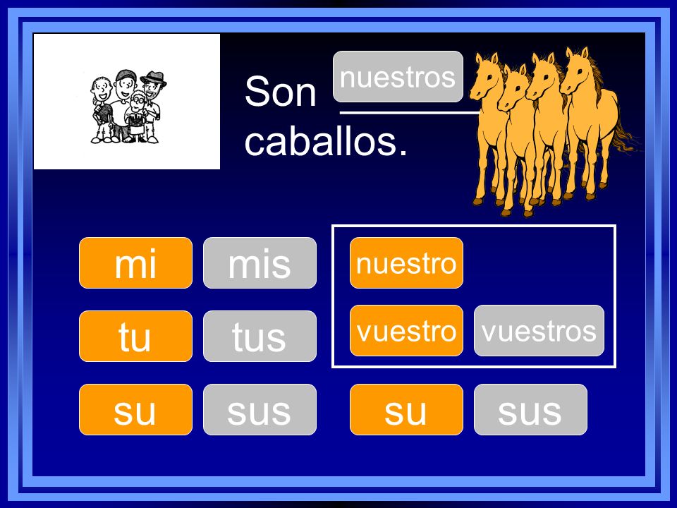 Son ______ caballos. mi mis tu tus su sus su sus nuestros nuestro