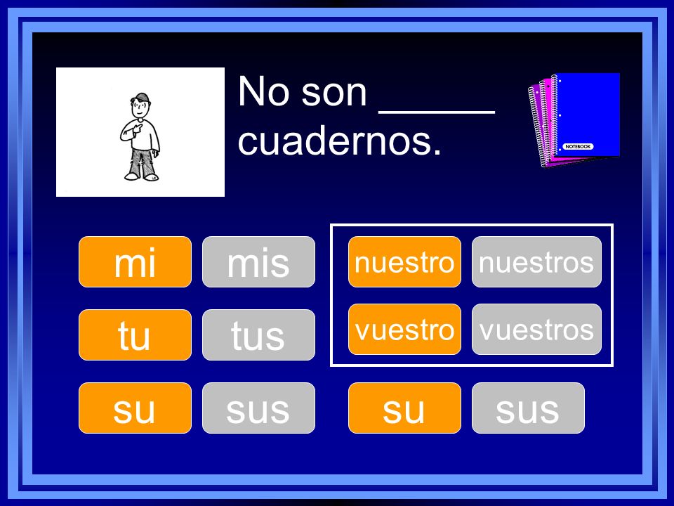 No son _____ cuadernos. mi mis tu tus su sus su sus nuestro nuestros