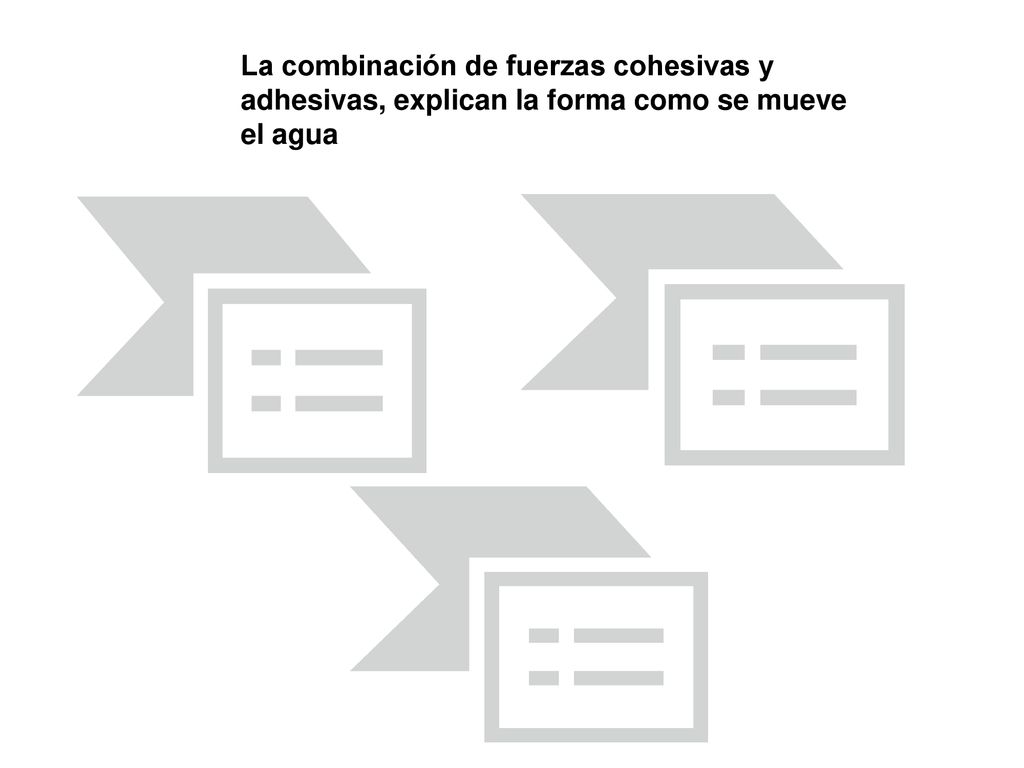La combinación de fuerzas cohesivas y adhesivas, explican la forma como se mueve el agua