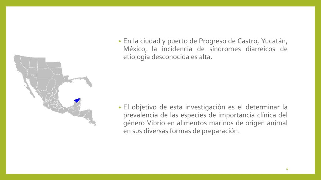 En la ciudad y puerto de Progreso de Castro, Yucatán, México, la incidencia de síndromes diarreicos de etiología desconocida es alta.