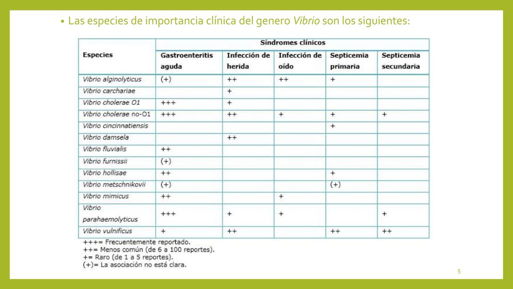 Las especies de importancia clínica del genero Vibrio son los siguientes: