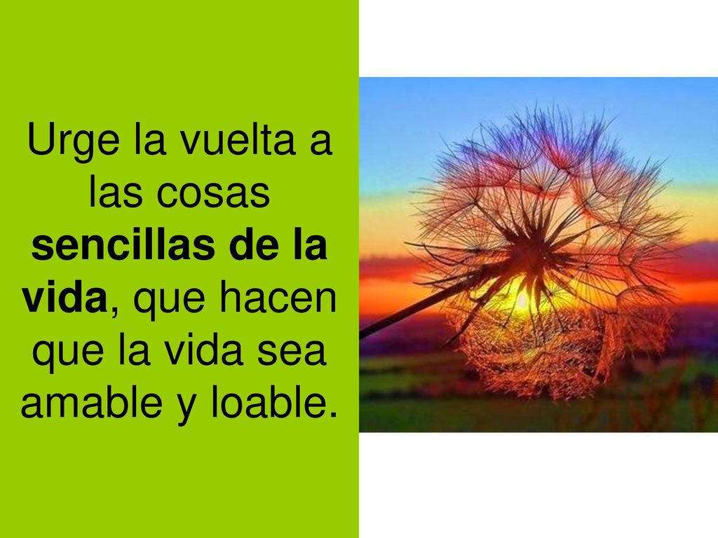 Urge la vuelta a las cosas sencillas de la vida, que hacen que la vida sea amable y loable.