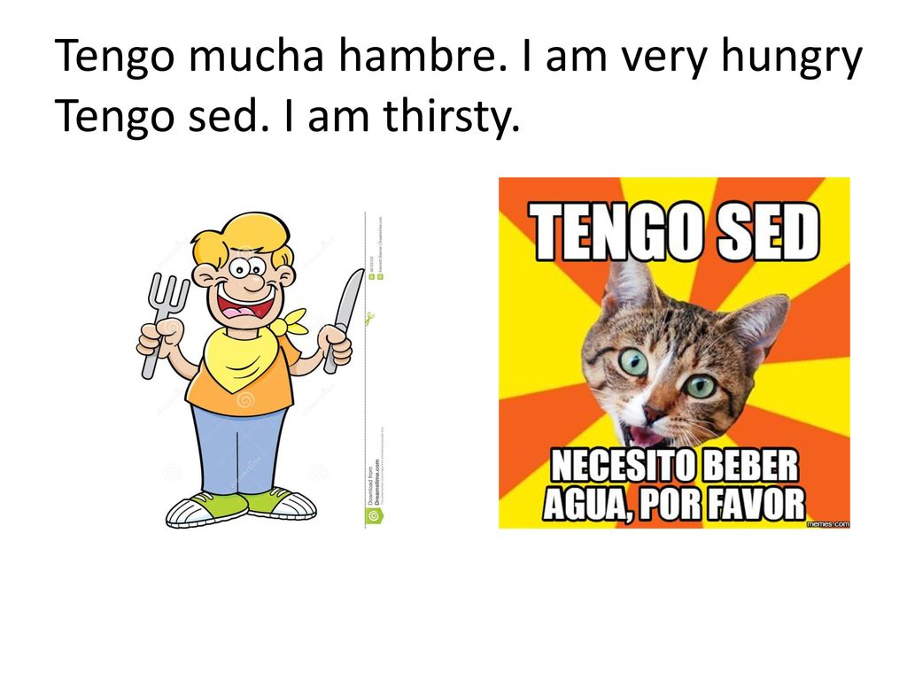 Tengo mucha hambre. I am very hungry Tengo sed. I am thirsty.