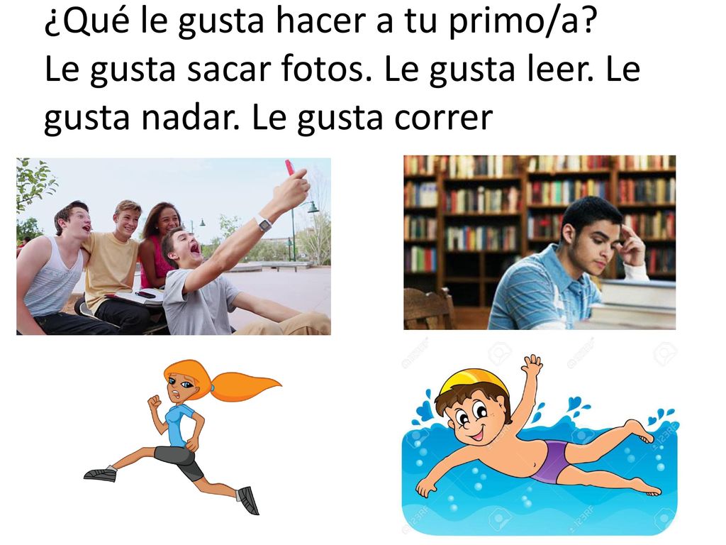 ¿Qué le gusta hacer a tu primo/a. Le gusta sacar fotos. Le gusta leer