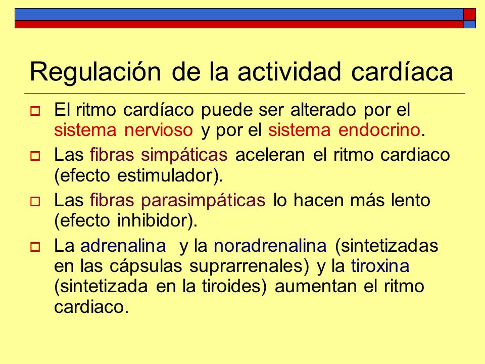 Regulación de la actividad cardíaca