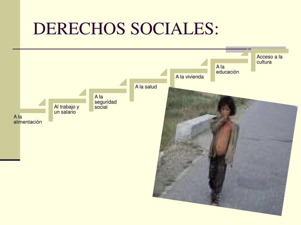 DERECHOS SOCIALES: Acceso a la cultura A la educación A la vivienda