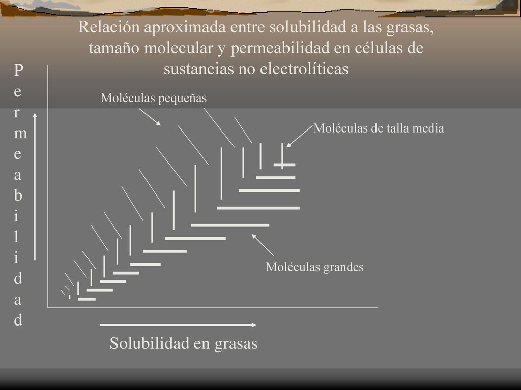 Relación aproximada entre solubilidad a las grasas, tamaño molecular y permeabilidad en células de sustancias no electrolíticas