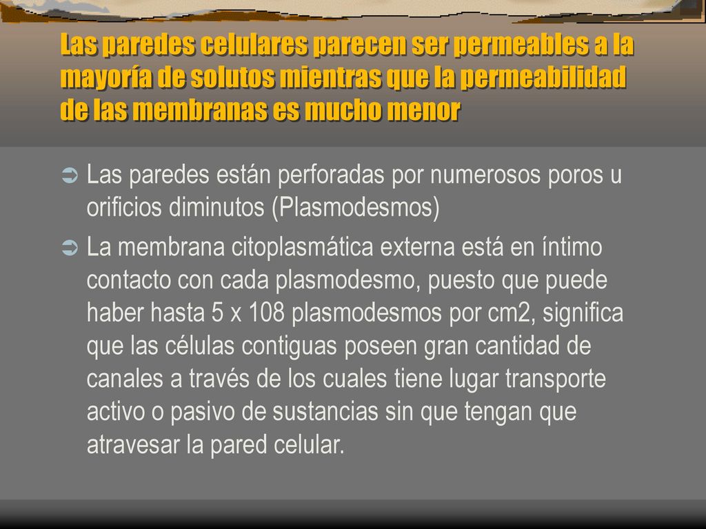Las paredes celulares parecen ser permeables a la mayoría de solutos mientras que la permeabilidad de las membranas es mucho menor