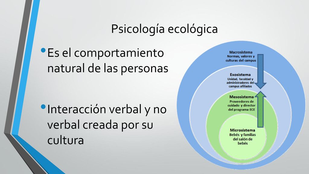 Psicología ecológica Es el comportamiento natural de las personas.