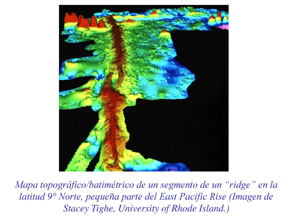 Mapa topográfico/batimétrico de un segmento de un ridge en la latitud 9° Norte, pequeña parte del East Pacific Rise (Imagen de Stacey Tighe, University of Rhode Island.)