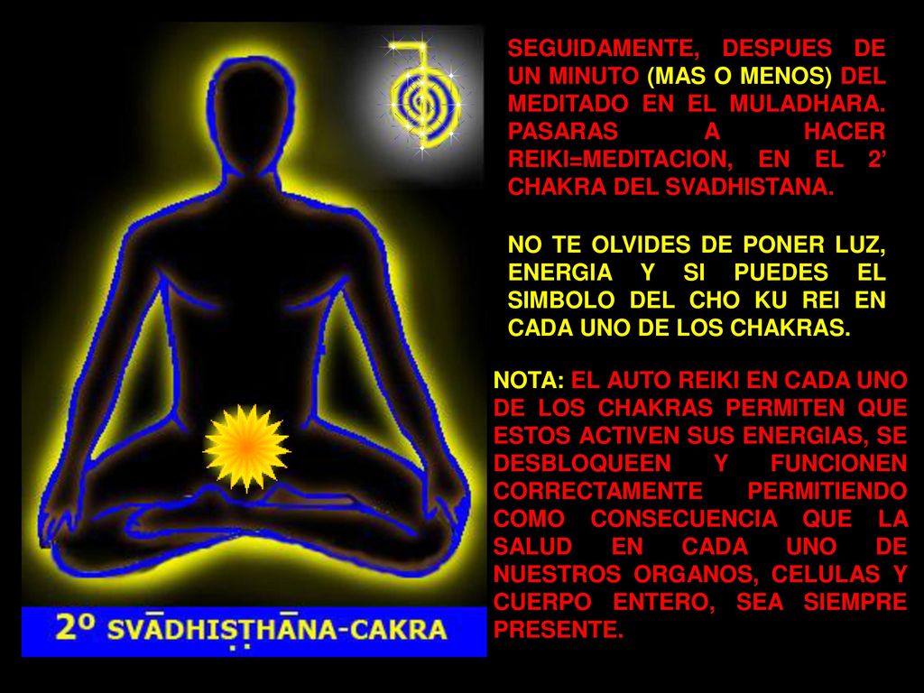 SEGUIDAMENTE, DESPUES DE UN MINUTO (MAS O MENOS) DEL MEDITADO EN EL MULADHARA. PASARAS A HACER REIKI=MEDITACION, EN EL 2’ CHAKRA DEL SVADHISTANA.