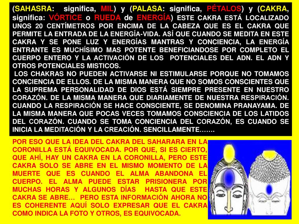 (SAHASRA: significa, MIL) y (PALASA: significa, PÉTALOS) y (CAKRA, significa: VÓRTICE o RUEDA de ENERGÍA) ESTE CAKRA ESTÁ LOCALIZADO UNOS 20 CENTÍMETROS POR ENCIMA DE LA CABEZA QUE ES EL CAKRA QUE PERMITE LA ENTRADA DE LA ENERGÍA-VIDA. ASÍ QUE CUANDO SE MEDITA EN ESTE CAKRA Y SE PONE LUZ Y ENERGÍAS MANTRAS Y CONCIENCIA, LA ENERGÍA ENTRANTE ES MUCHÍSIMO MAS POTENTE BENEFICIANDOSE POR COMPLETO EL CUERPO ENTERO Y LA ACTIVACIÓN DE LOS POTENCIALES DEL ADN. EL ADN Y OTROS POTENCIALES MISTICOS.