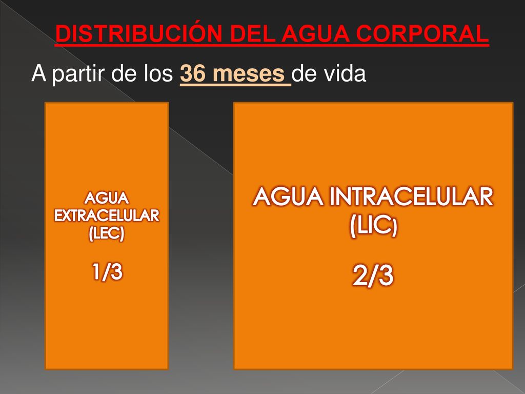 2/3 DISTRIBUCIÓN DEL AGUA CORPORAL AGUA INTRACELULAR (LIC) 1/3