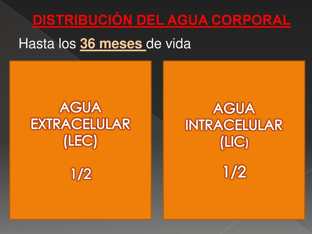 1/2 DISTRIBUCIÓN DEL AGUA CORPORAL AGUA EXTRACELULAR AGUA INTRACELULAR