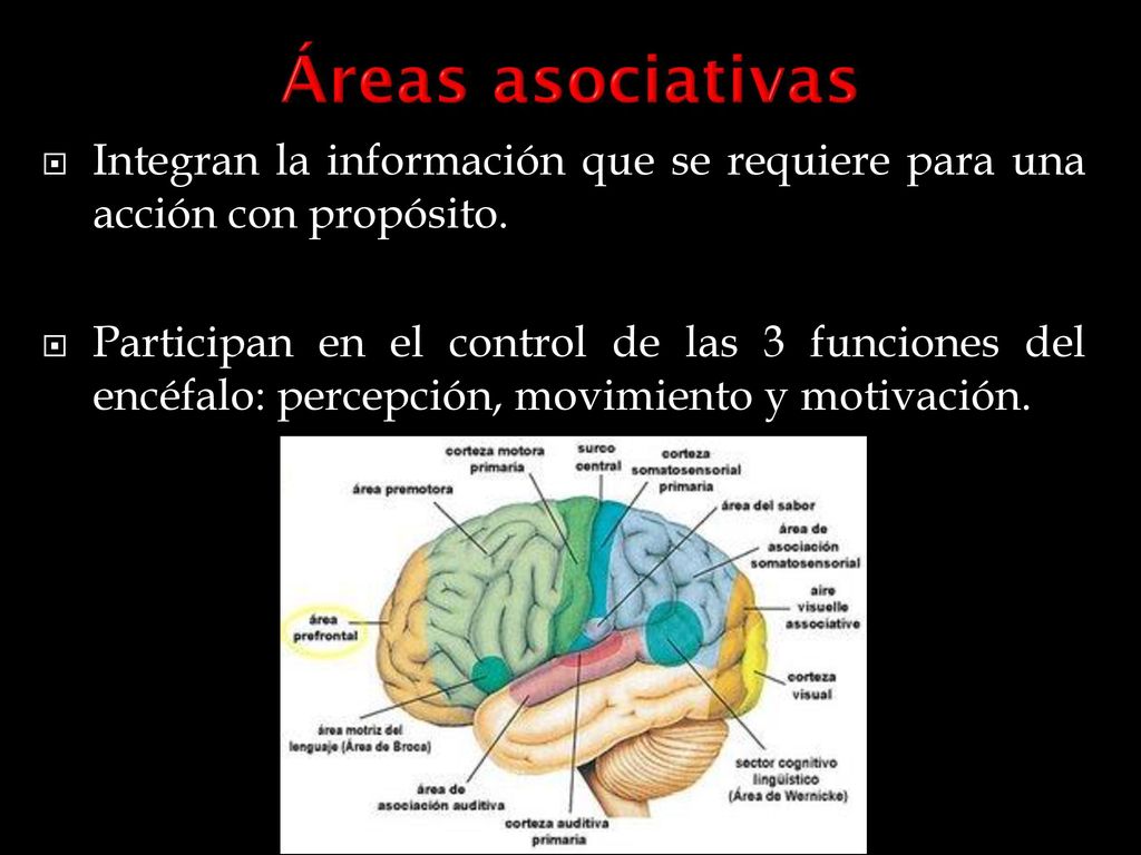 Integran la información que se requiere para una acción con propósito.