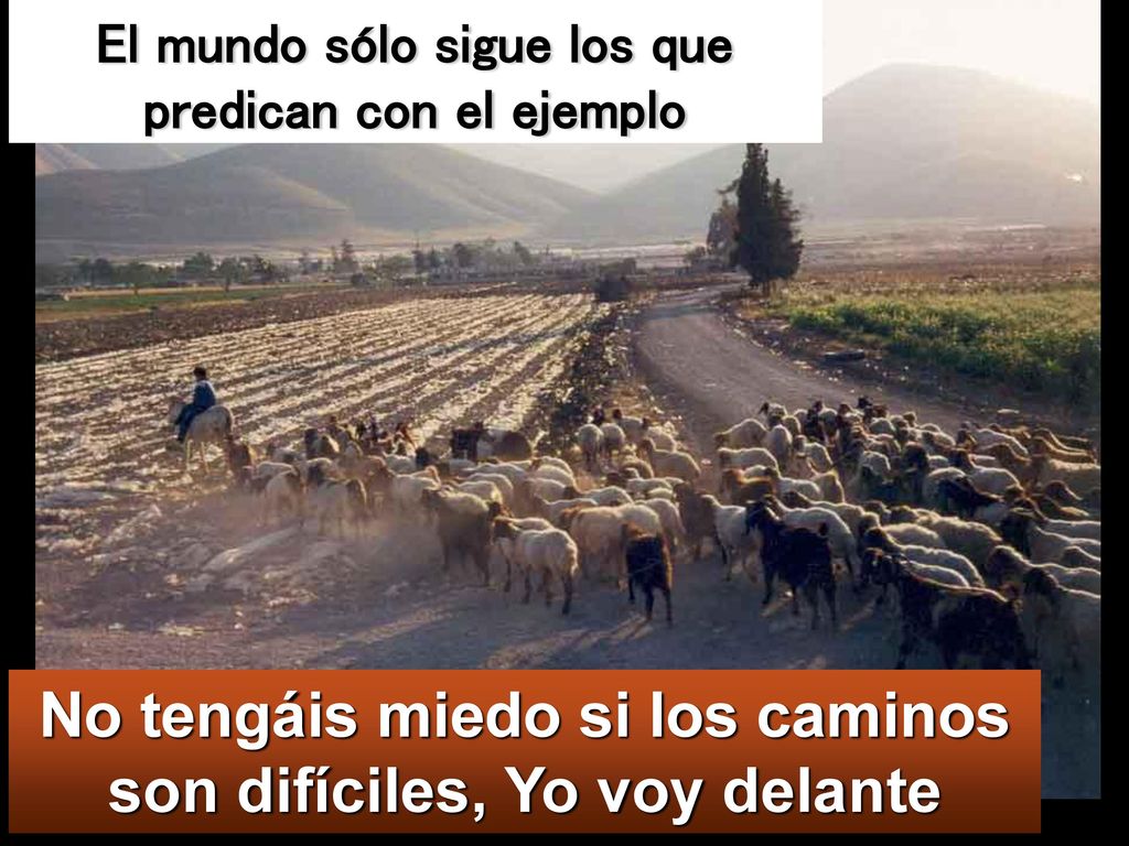 No tengáis miedo si los caminos son difíciles, Yo voy delante