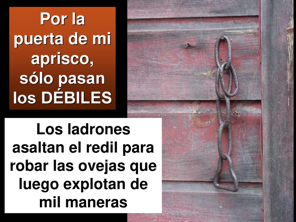 Por la puerta de mi aprisco, sólo pasan los DÉBILES