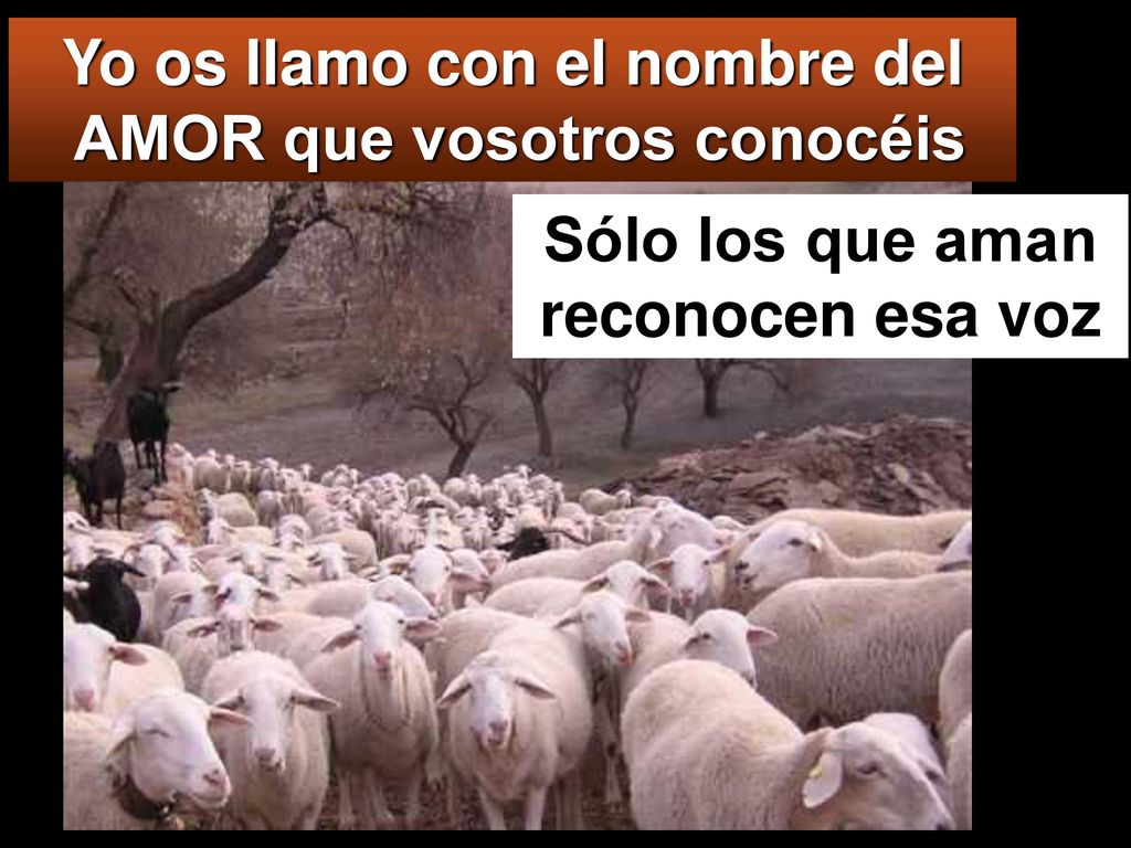 Yo os llamo con el nombre del AMOR que vosotros conocéis
