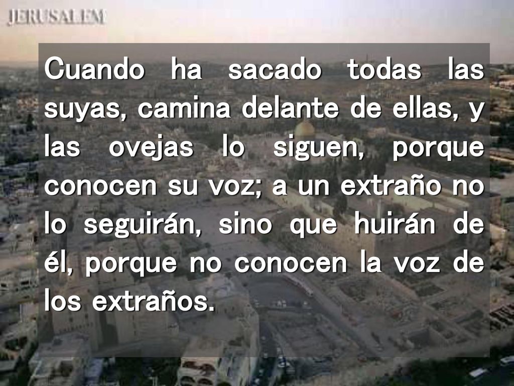 Cuando ha sacado todas las suyas, camina delante de ellas, y las ovejas lo siguen, porque conocen su voz; a un extraño no lo seguirán, sino que huirán de él, porque no conocen la voz de los extraños.