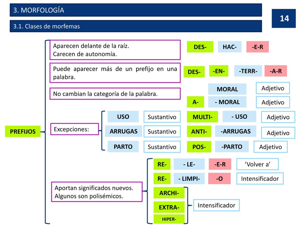 3. MORFOLOGÍA 3.1. Clases de morfemas Aparecen delante de la raíz.