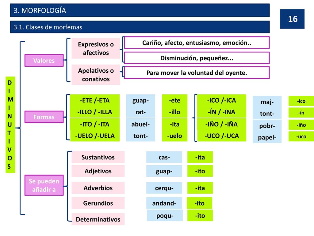 3. MORFOLOGÍA 3.1. Clases de morfemas Expresivos o afectivos