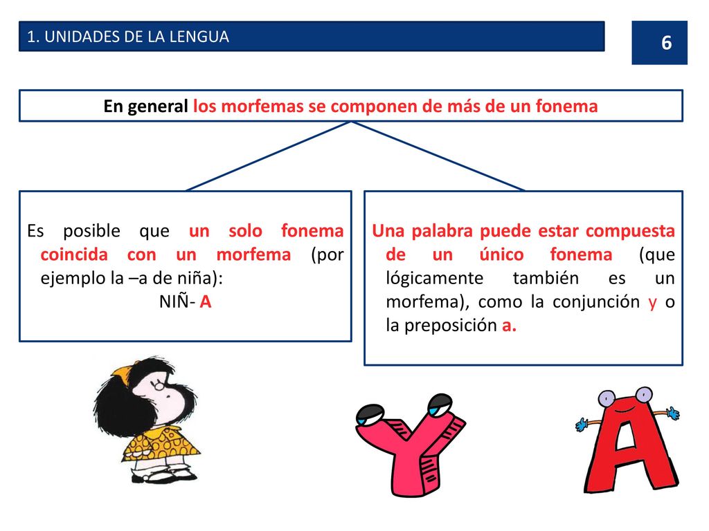 En general los morfemas se componen de más de un fonema