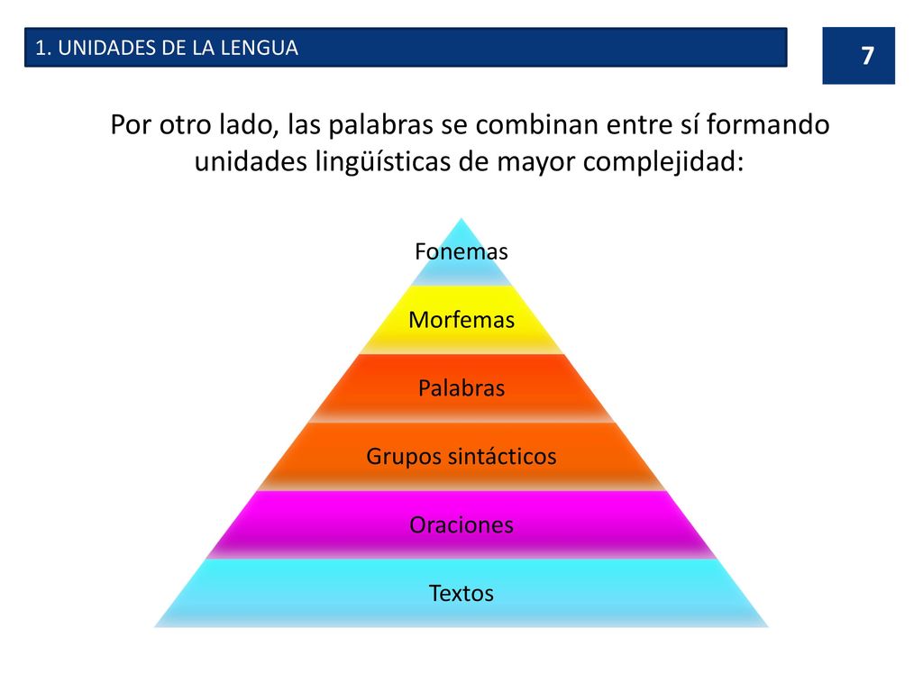 1. UNIDADES DE LA LENGUA Por otro lado, las palabras se combinan entre sí formando unidades lingüísticas de mayor complejidad: