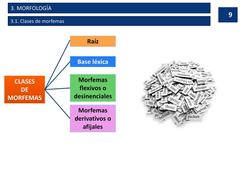 Morfemas flexivos o desinenciales Morfemas derivativos o afijales