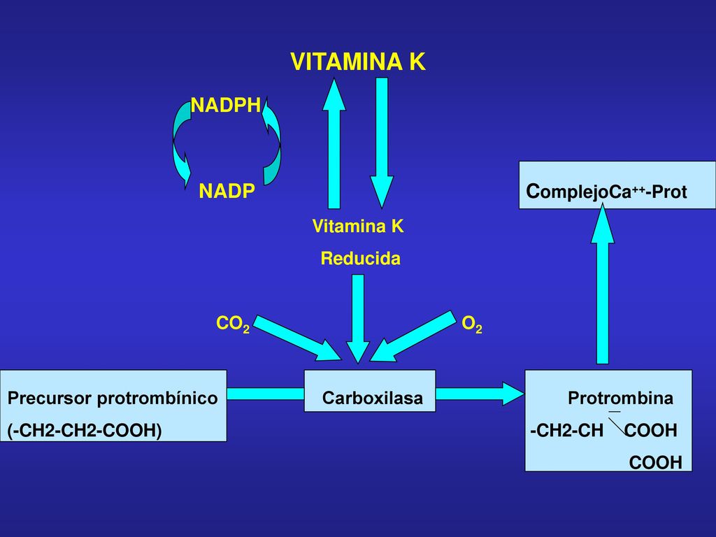 VITAMINA K NADPH NADP ComplejoCa++-Prot Vitamina K Reducida CO2 O2