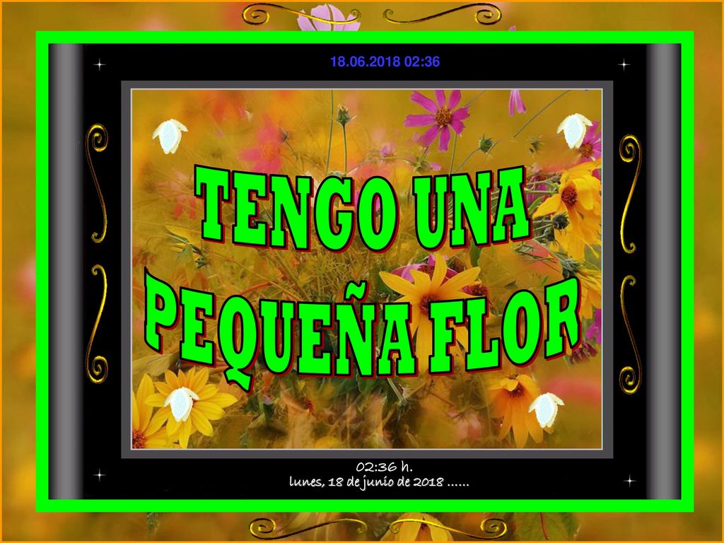 TENGO UNA PEQUEÑA FLOR lunes, 18 de junio de 2018 …… 02:36 h.