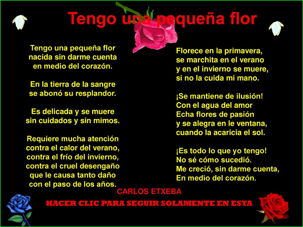 Tengo una pequeña flor Tengo una pequeña flor nacida sin darme cuenta