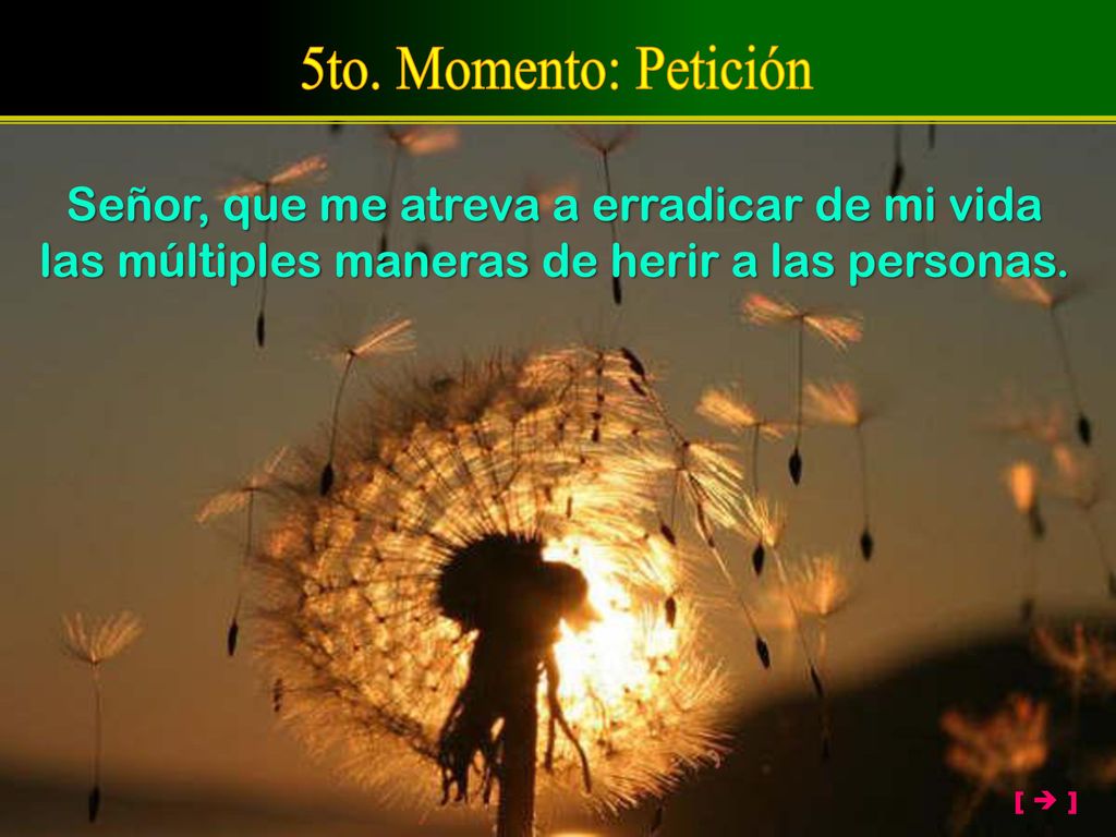 5to. Momento: Petición Señor, que me atreva a erradicar de mi vida