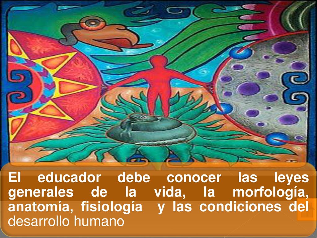 El educador debe conocer las leyes generales de la vida, la morfología, anatomía, fisiología y las condiciones del desarrollo humano