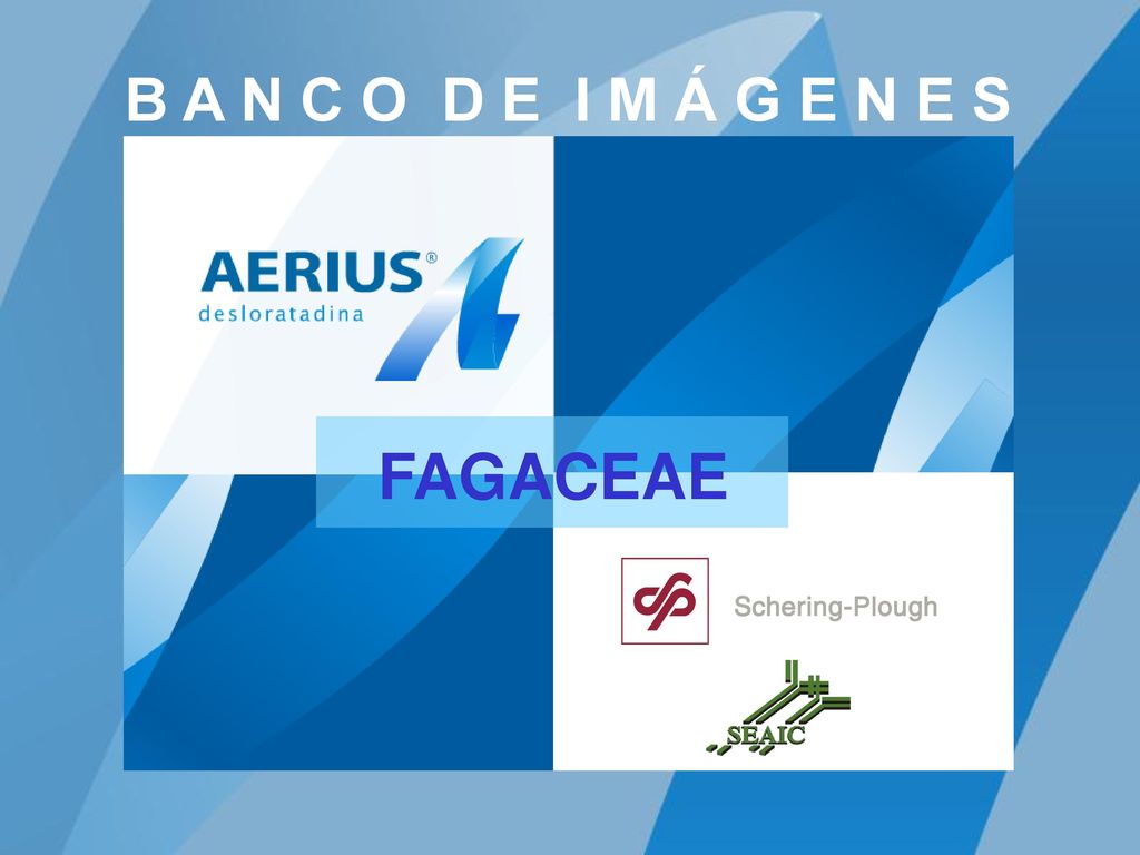 B A N C O D E I M Á G E N E S FAGACEAE