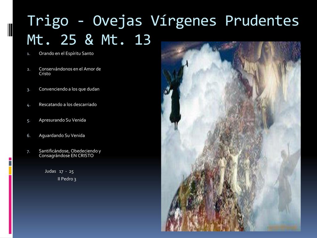 Trigo - Ovejas Vírgenes Prudentes Mt. 25 & Mt. 13