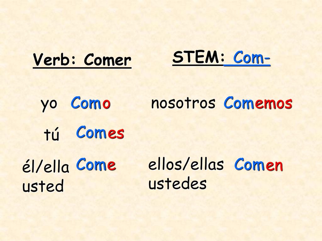 STEM: Com- Verb: Comer. yo. Com. o. nosotros. Com. emos. Com. es. tú. Com. e. ellos/ellas.
