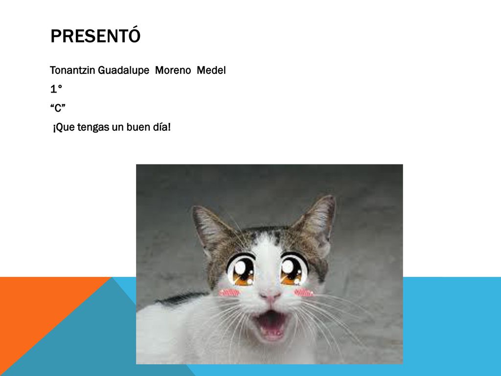 Presentó Tonantzin Guadalupe Moreno Medel 1° C ¡Que tengas un buen día!